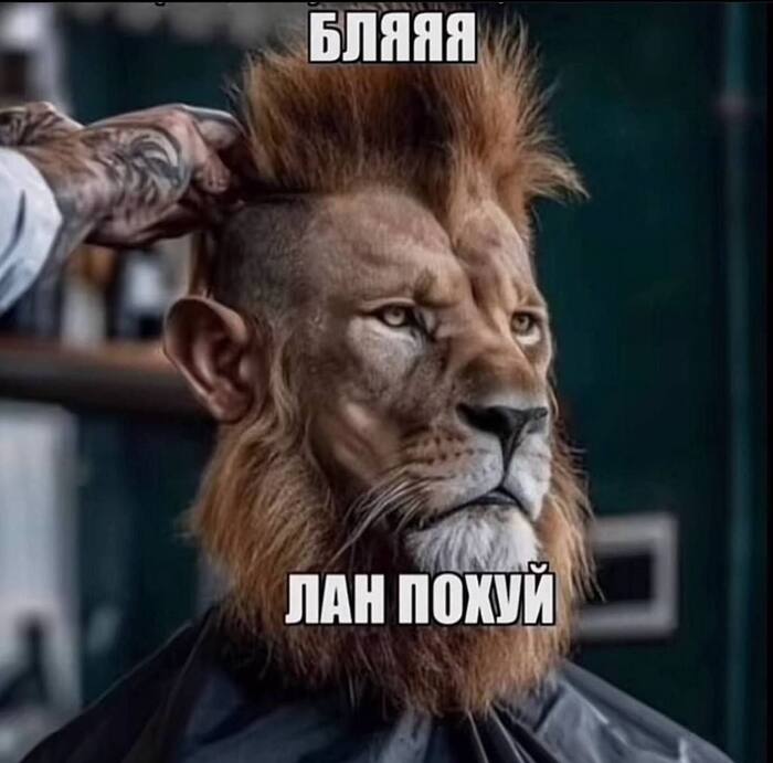 ?