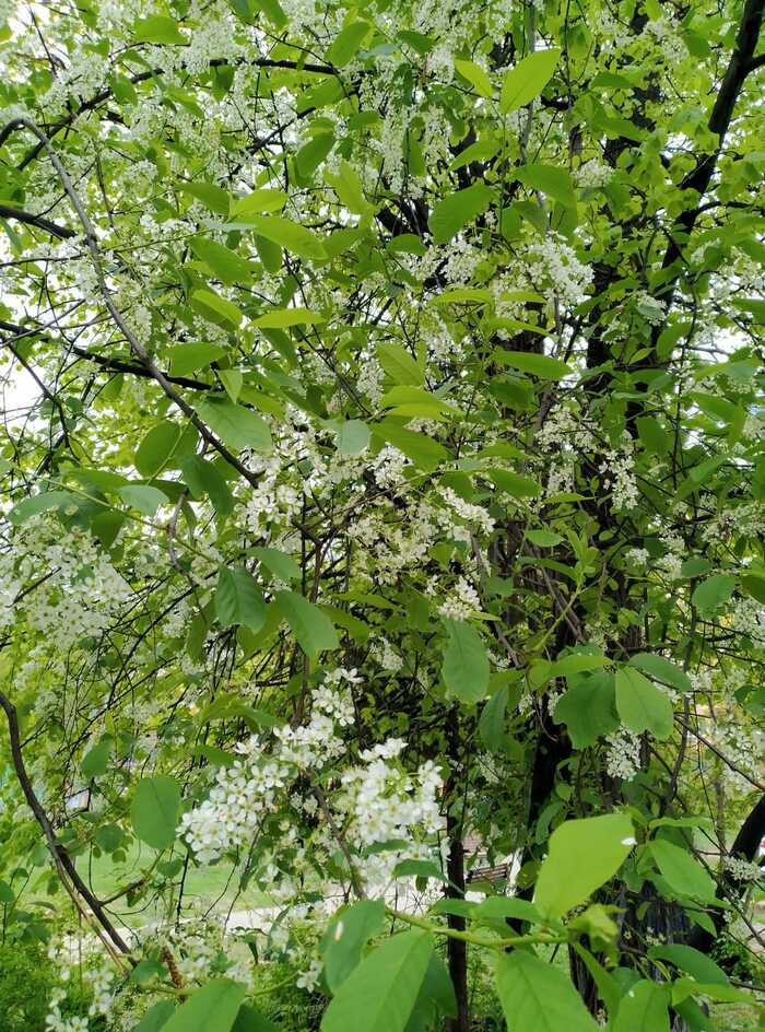 Причина похолодания