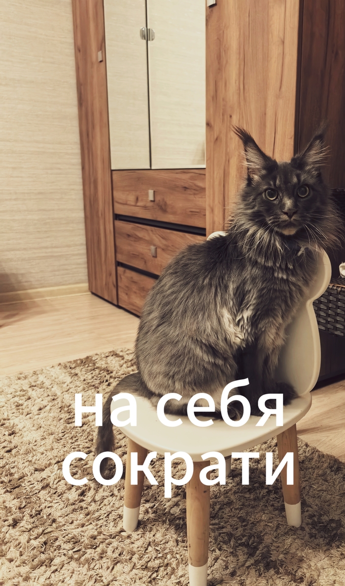      , -, ,  , 