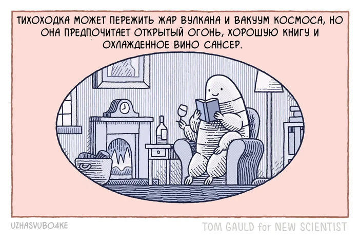 <a href="https://pikabu.ru/story/tikhokhodka_12657393?u=https%3A%2F%2Fx.com%2Ftomgauld%2Fstatus%2F1908848446552866842%2Fphoto%2F1&t=%D0%9E%D1%80%D0%B8%D0%B3%D0%B8%D0%BD%D0%B0%D0%BB&h=b76a4133823dd49e698fb0fdc253bf0660f9853c" title="https://x.com/tomgauld/status/1908848446552866842/photo/1" target="_blank" rel="nofollow noopener"></a> <a href="https://pikabu.ru/story/tikhokhodka_12657393?u=https%3A%2F%2Ft.me%2Fuzhasvubo4ke&t=%D0%9F%D0%B5%D1%80%D0%B5%D0%B2%D0%BE%D0%B4%D1%8B&h=4e72d063159c919d570ceb2fe8846eae6874d1d4" title="https://t.me/uzhasvubo4ke" target="_blank" rel="nofollow noopener"></a>
