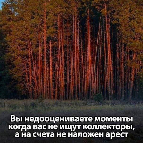 Задумайтесь