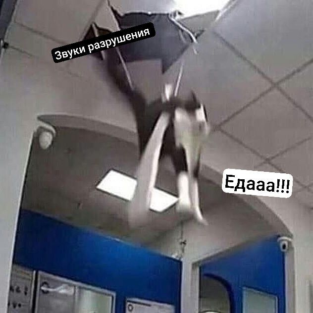     ... , , , ,  