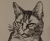 �������