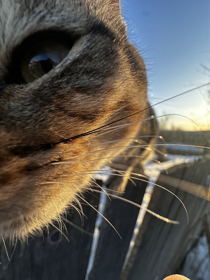 ���� ����