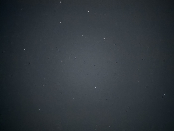 ���� � ��������� 10 ������ � ����������� ������ 