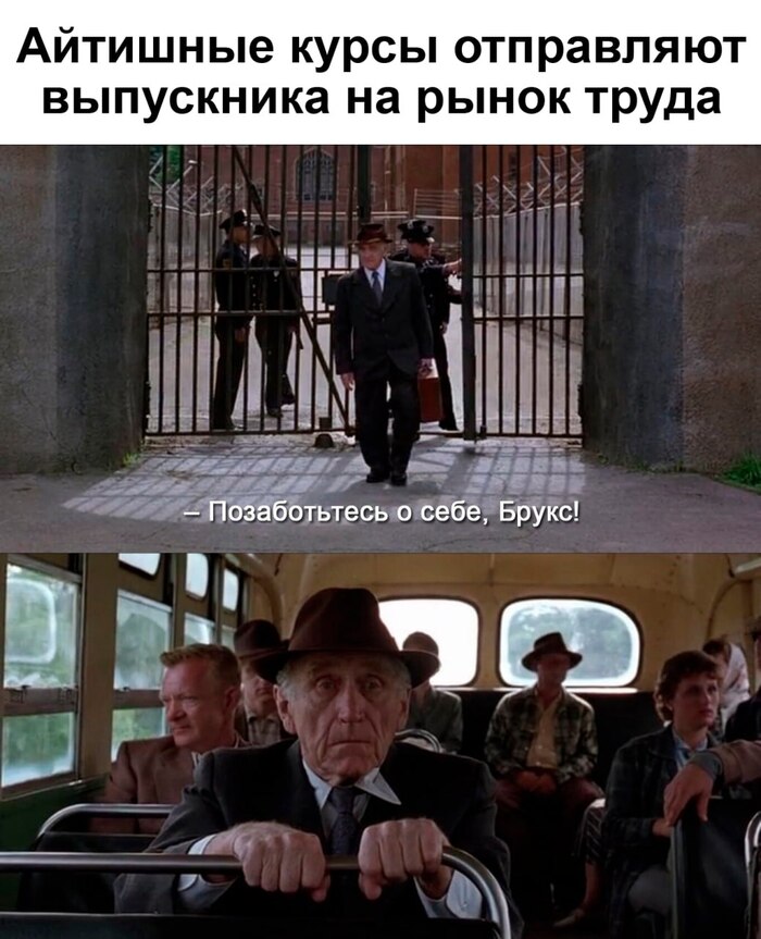  IT , -, , Telegram (),   ,   , 
