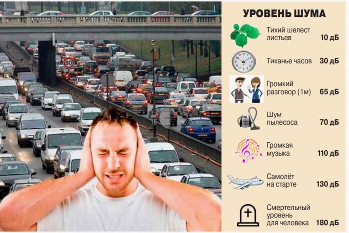 Фото из Интернет