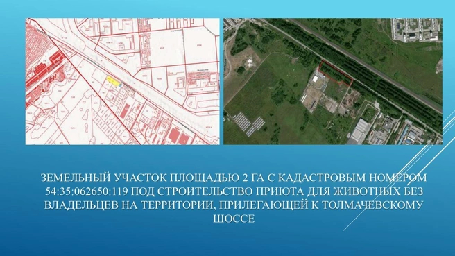 Приют для животных за 800 млн руб начнут строить в Новосибирске