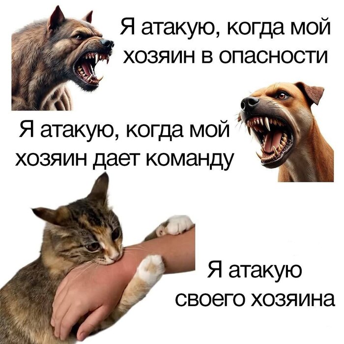   , ,  ,   , , , 