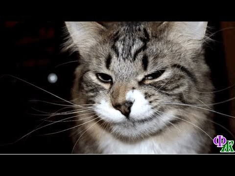         2.     , ,  , , , , ,  ,   