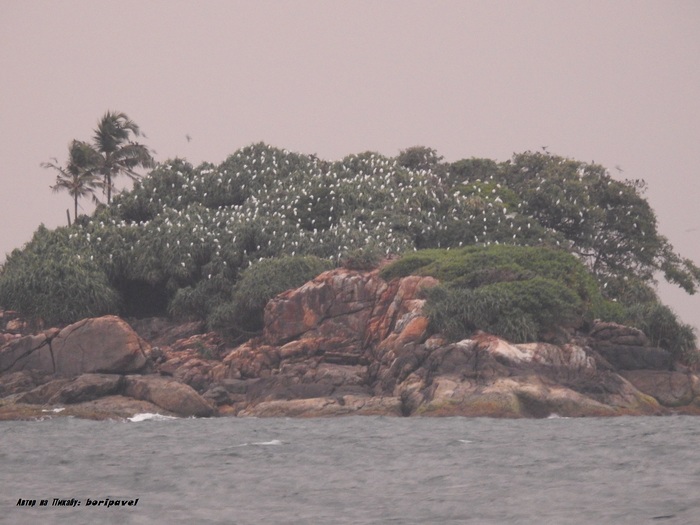 Crow Island, Берувела, Шри Ланка 2025