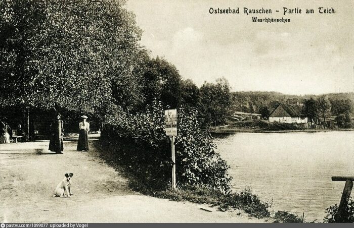 Мельничный пруд (Тихое) 1910 г.