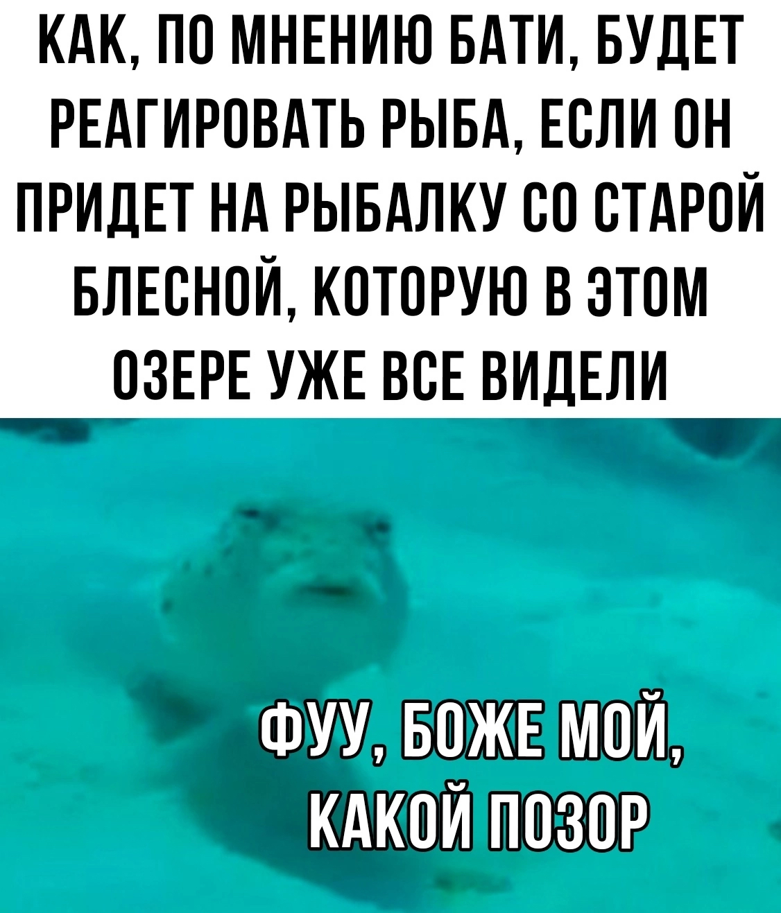 https://cs19.pikabu.ru/s/2025/04/29/09/aian4osa_lg.jpg
