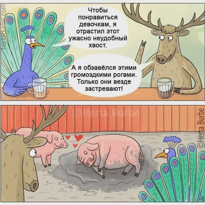 О предпочтениях девушек и женщин.Возможно это заложено природой как механизмпродолжения рода обиженных умом
