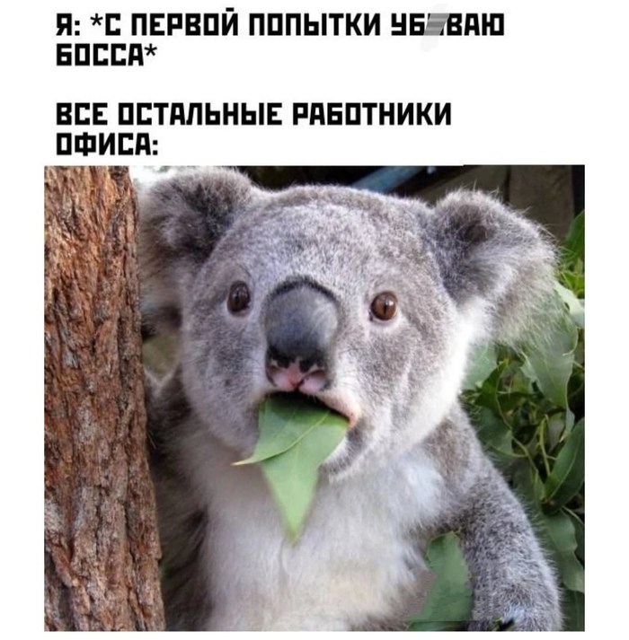 На каждый день