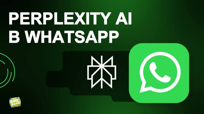 Perplexity AI  WhatsApp ,  ,  , , WhatsApp