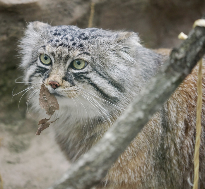У меня к лицу ничего не прилипло?