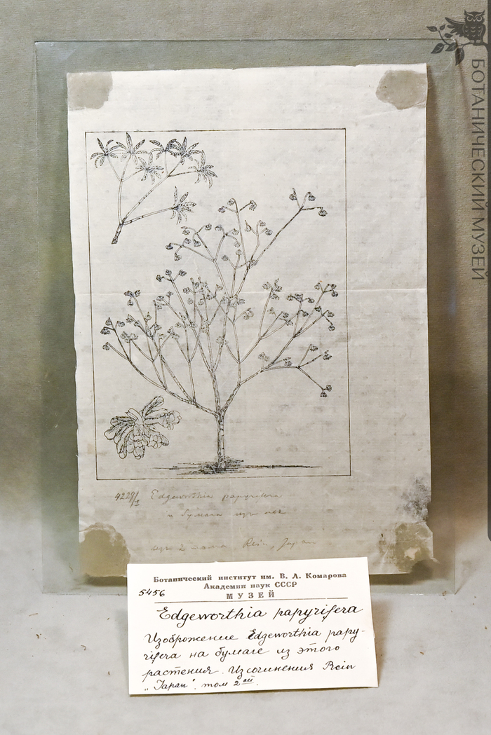     ,     . &nbsp;     .