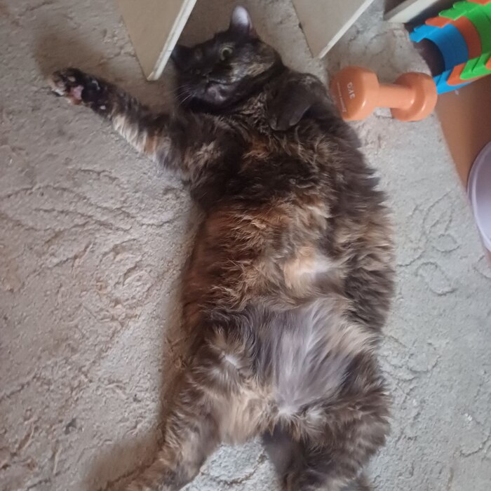 ,   "  "   ? , Am I The Asshole, Reddit (), 