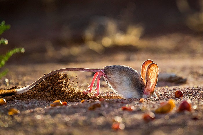 Когда наконец-то побрила ноги после зимы.