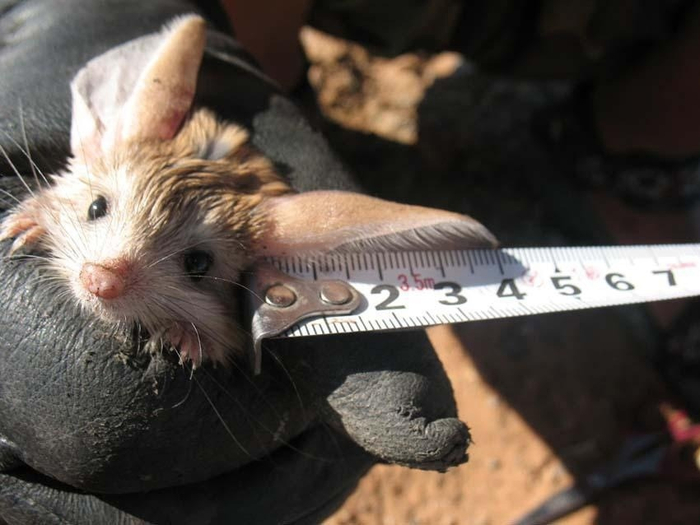 Да сейчас просто холодно, вот они и уменьшились!