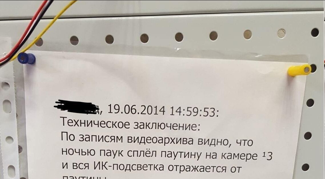 Павук