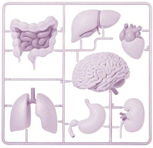Пациенты, прошедшие курс лечения диабета 1-го типа, использовавшие препарат на основе стволовых клеток, смогли прекратить прием инсулина. Стволовые клетки также применяются для лечения эпилепсии