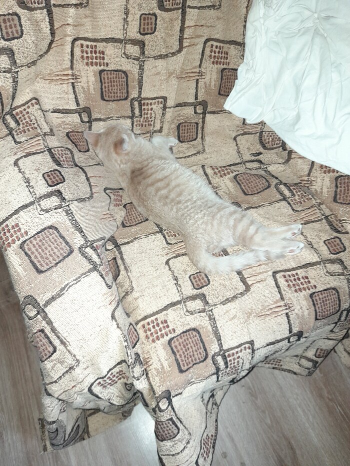 Ему тут месяцев 5