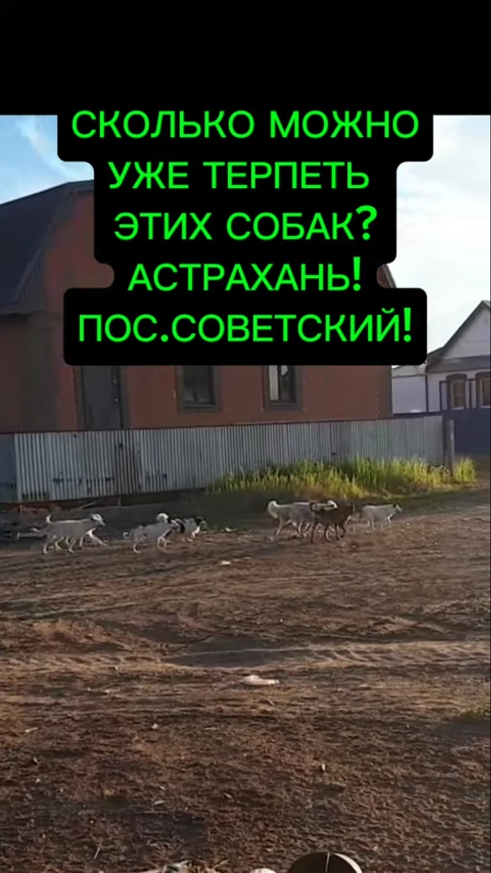 Фото из личного архива