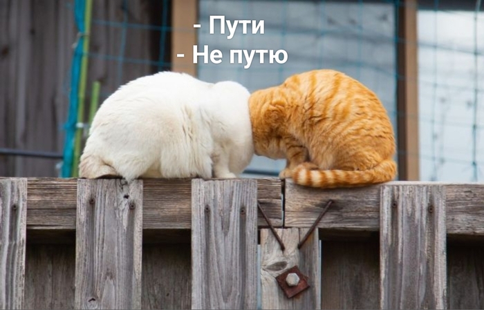    ϻ