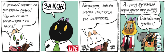 Котейкины Новости от 30.04.2025