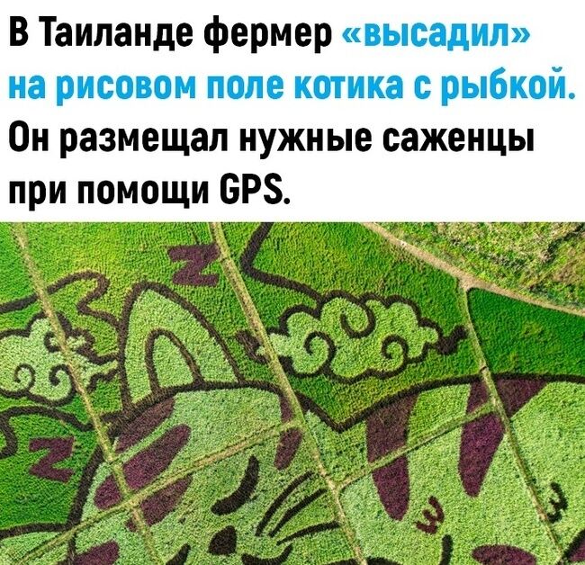 Креативный фермер