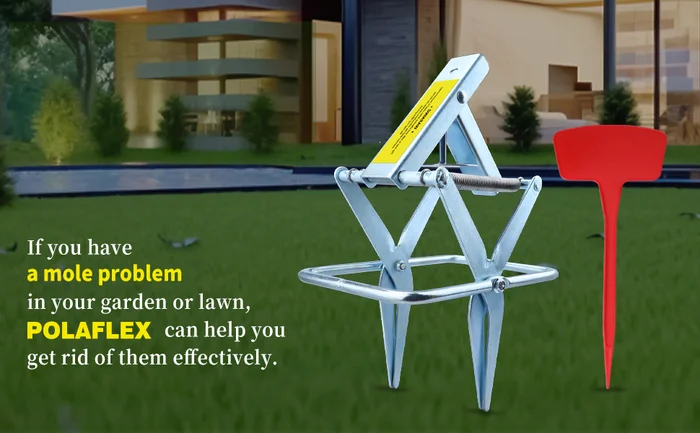 Что это за штука - 233 Reddit, WhatIsThisThing, Перевел сам, Видео, Длиннопост