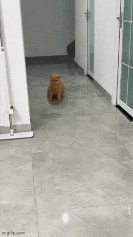   , , , 