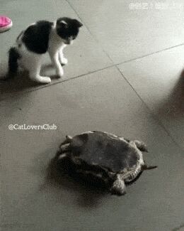   , , , 