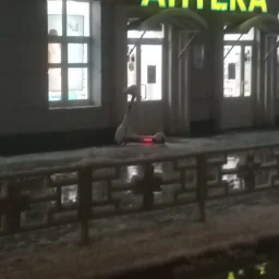 Invaliddegenerat