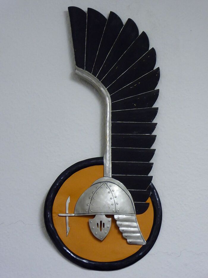 Знак дивизии генерала Мачека. Ныне эмблема 11-й бкд Польши