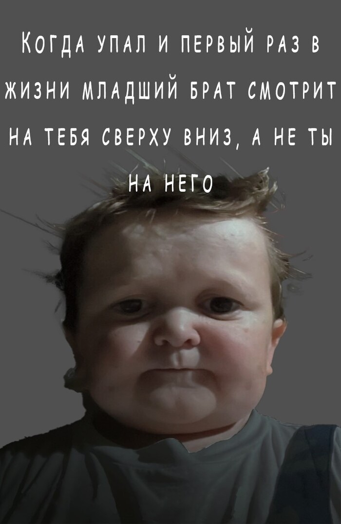         ,   ,  , ,  ( )