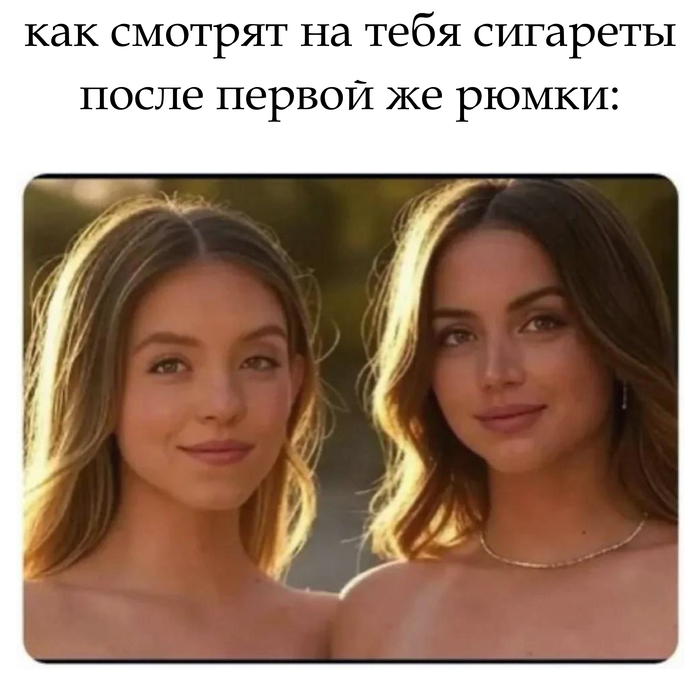    , ,   ,   ,  , 