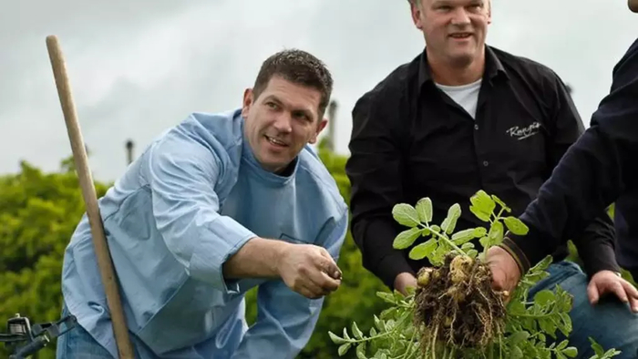 Клубни у La Bonnotte отличаются маленьким размером