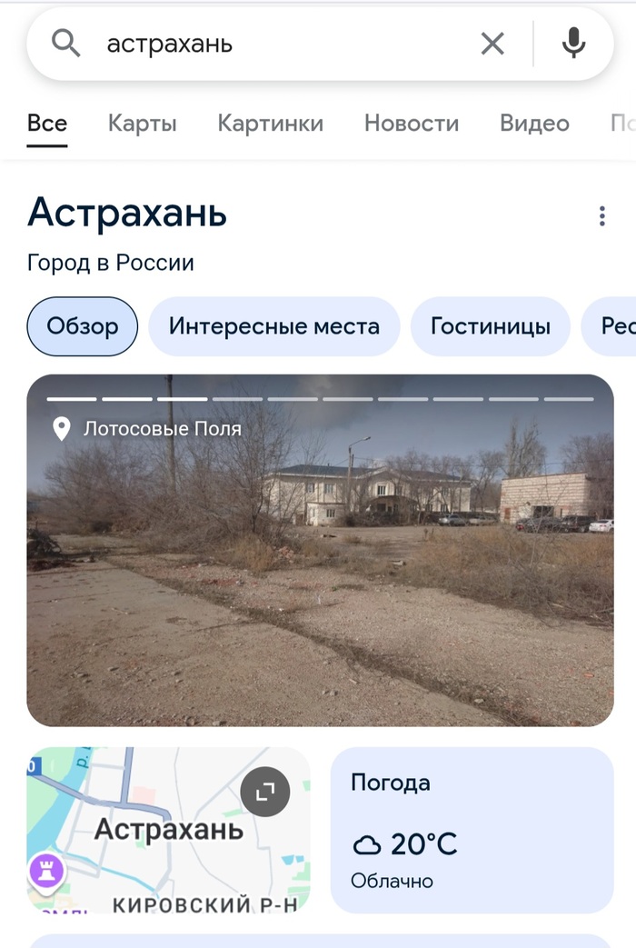 У меня такие же поля недалеко от дома есть.