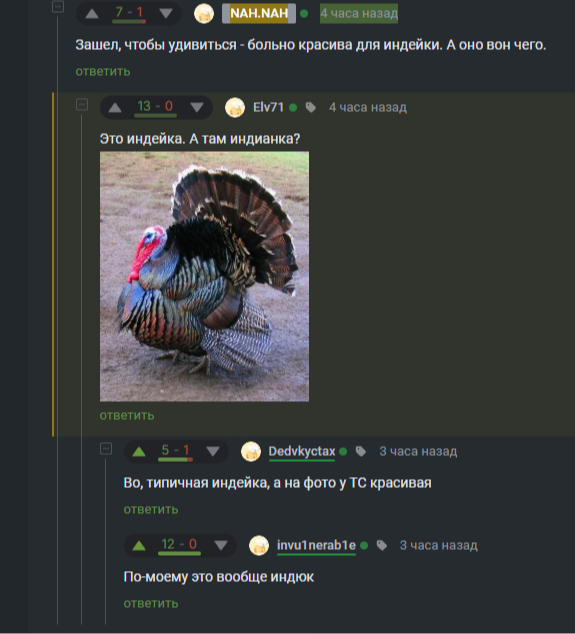 ��� �������