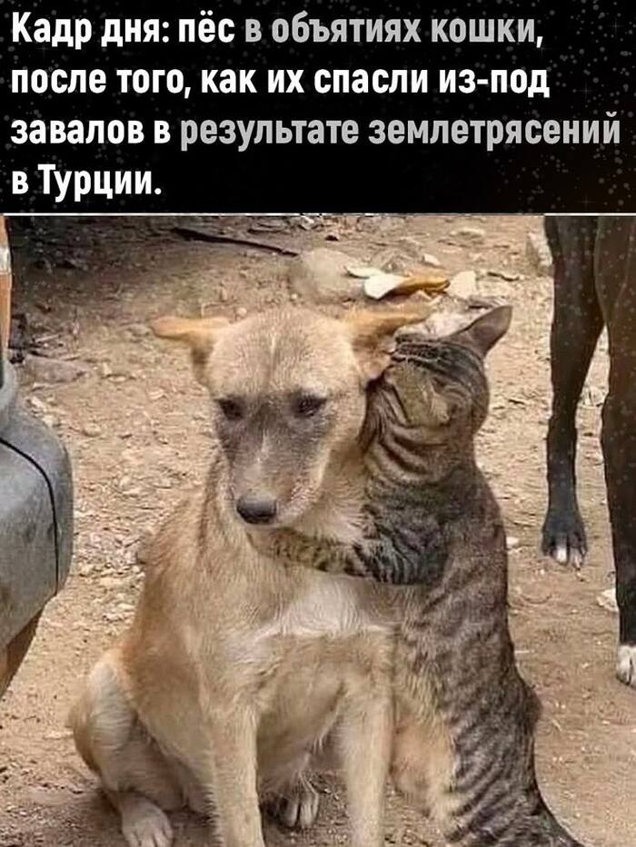     ..( , , , , , , ,   , , 
