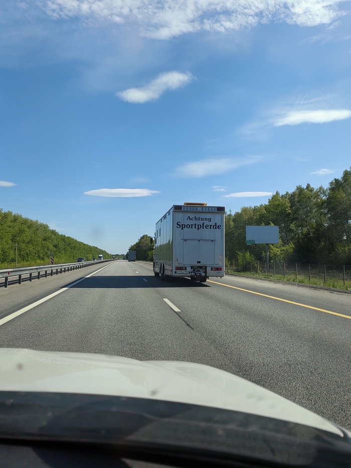 ������! ����� ������!