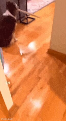   , , , 