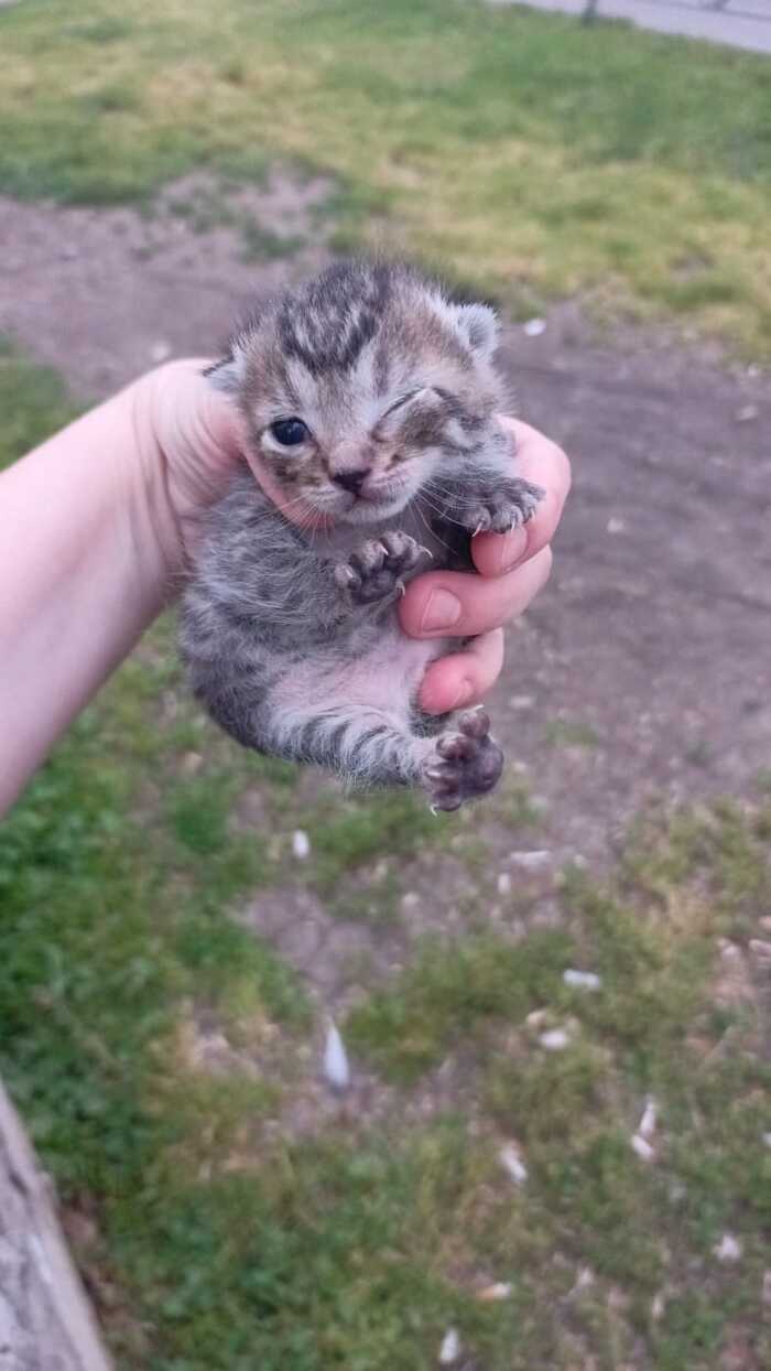      , ,  ,  , 