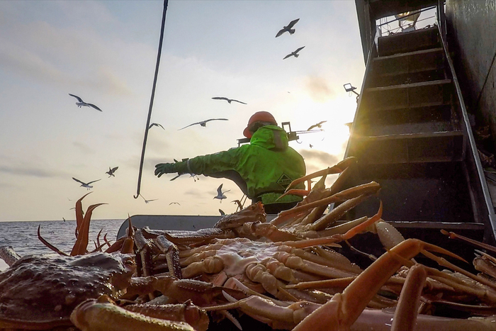           .   2006 , ,         7 !   ,           .