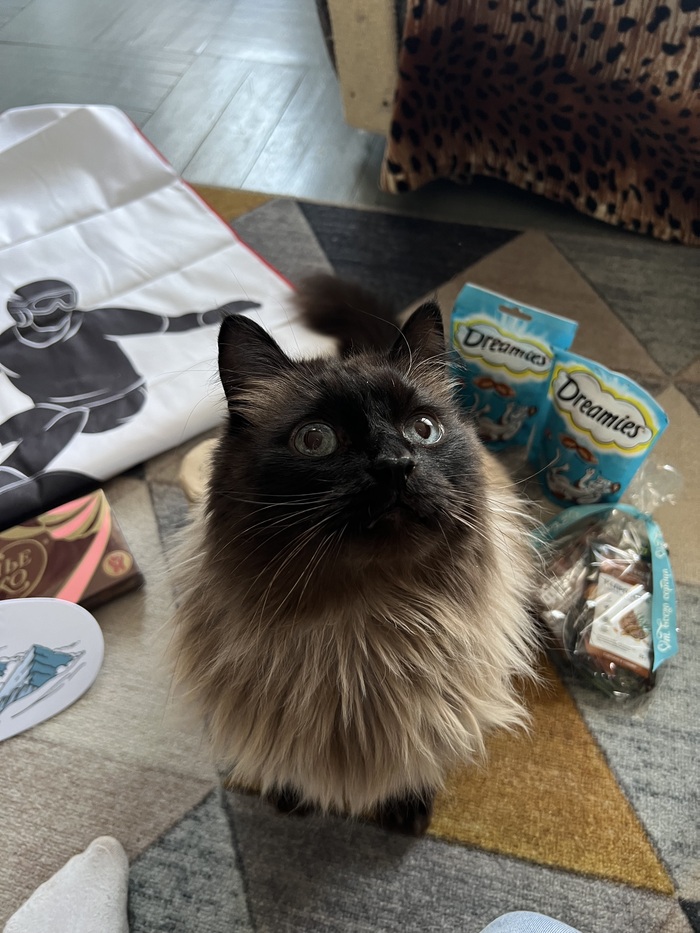 "Цвет настроения 5.0: Тиффани | Пикабу" Новосибирск-СПБ