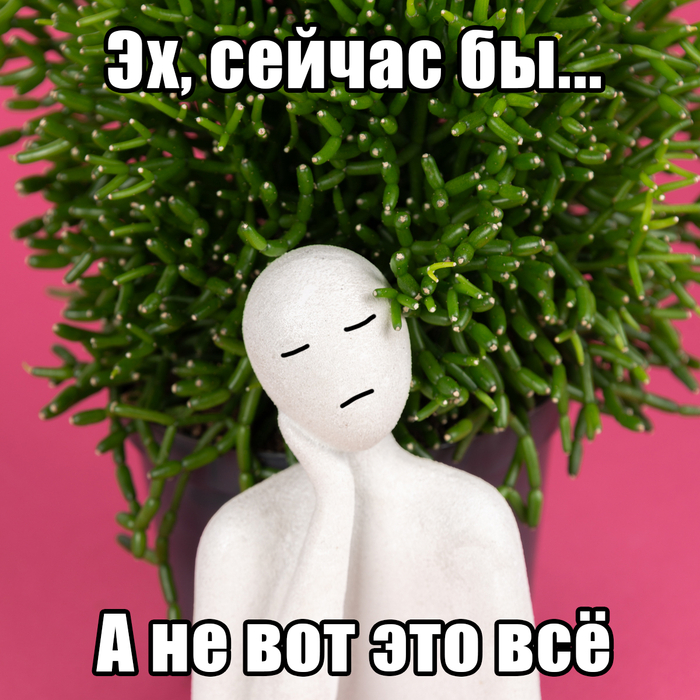 ������� ����������� (Hatiora salicornoides), ���� ���������