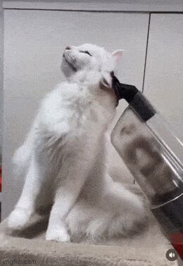   , , , 